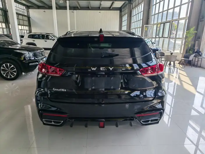 WEY VV7 2020 Model 2.0T Chao Luxury Model – фото 5