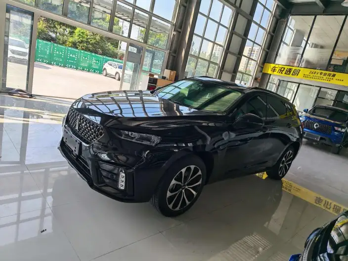 WEY VV7 2020 Model 2.0T Chao Luxury Model – фото 10