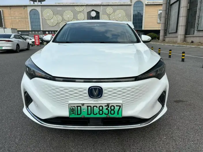 Changan Eado EV 2022 Model EV460 Zhixing Wangyue Edition Lithium Iron Phosphate – фото 2