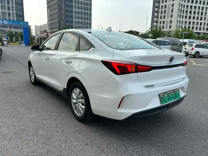 Changan Eado EV 2022 Model EV460 Zhixing Wangyue Edition Lithium Iron Phosphate – фото 4