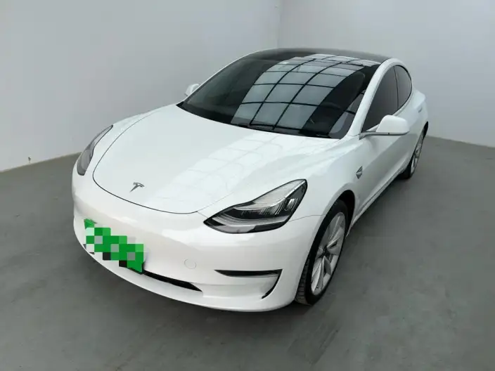 Model 3 2020 Model Facelift Long Battery Life Pro Rear-wheel drive version – фото 1
