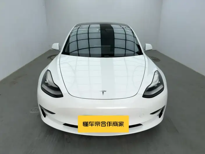 Model 3 2020 Model Facelift Long Battery Life Pro Rear-wheel drive version – фото 2