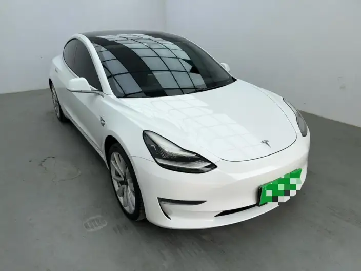 Model 3 2020 Model Facelift Long Battery Life Pro Rear-wheel drive version – фото 3
