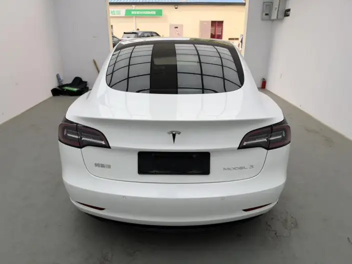 Model 3 2020 Model Facelift Long Battery Life Pro Rear-wheel drive version – фото 5