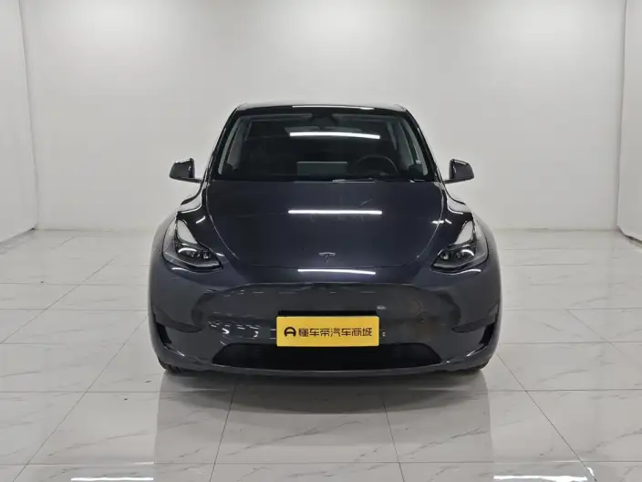 Model Y 2024 Model Rear-wheel drive version – фото 2