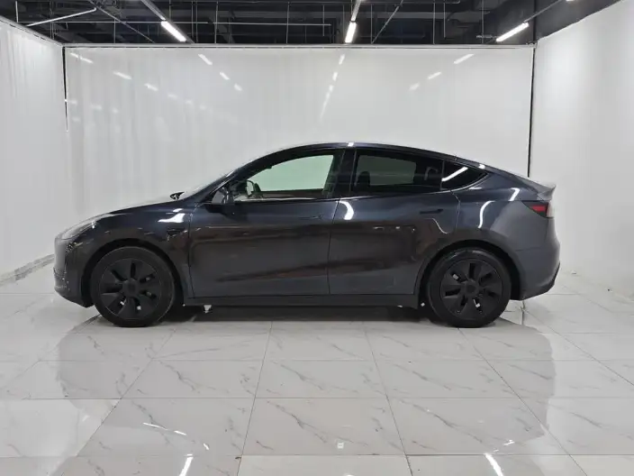 Model Y 2024 Model Rear-wheel drive version – фото 4