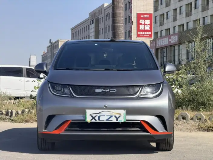 BYD Dolphin 2021 Model Free Edition – фото 2
