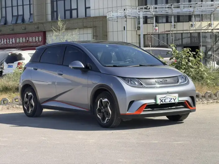 BYD Dolphin 2021 Model Free Edition – фото 3