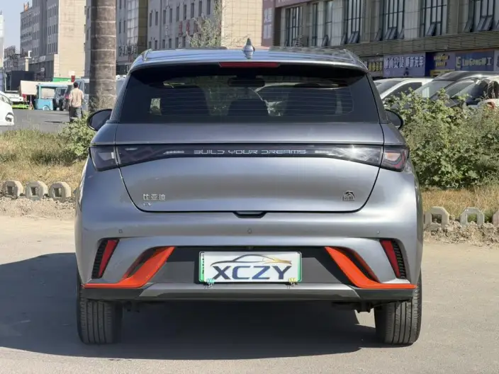 BYD Dolphin 2021 Model Free Edition – фото 5