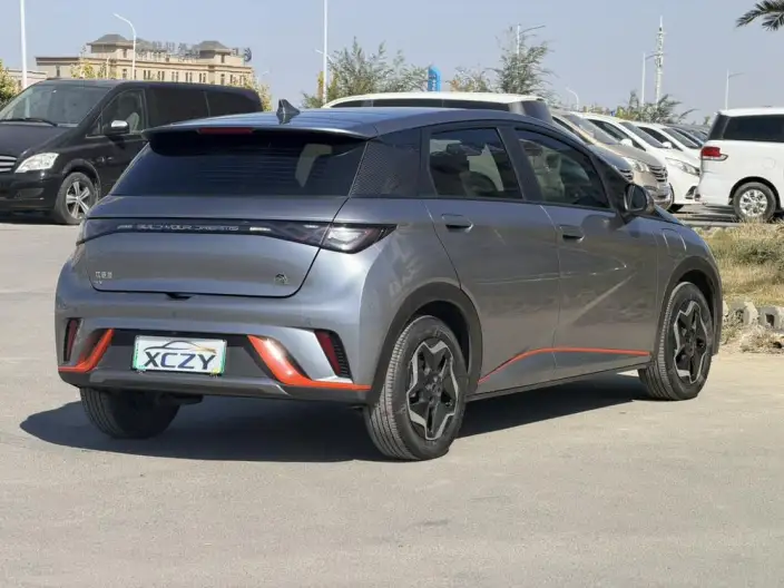 BYD Dolphin 2021 Model Free Edition – фото 6