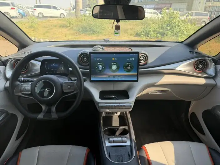 BYD Dolphin 2021 Model Free Edition – фото 7
