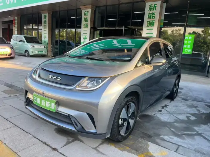 BYD Dolphin 2023 Model Free Edition – фото 1