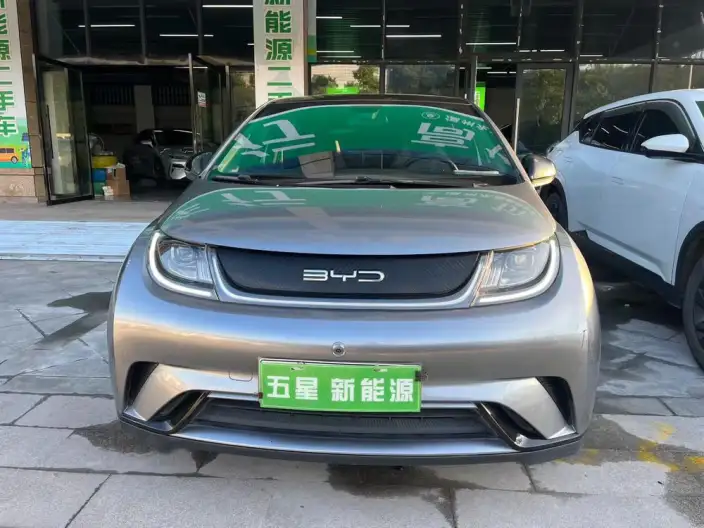 BYD Dolphin 2023 Model Free Edition – фото 2