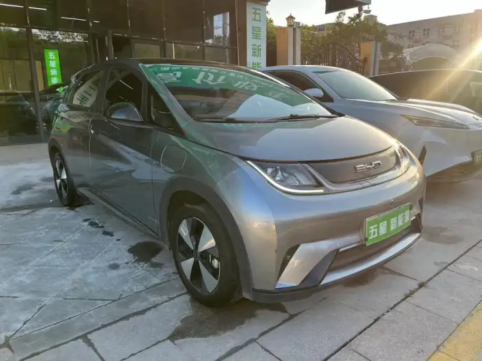 BYD Dolphin 2023 Model Free Edition – фото 3