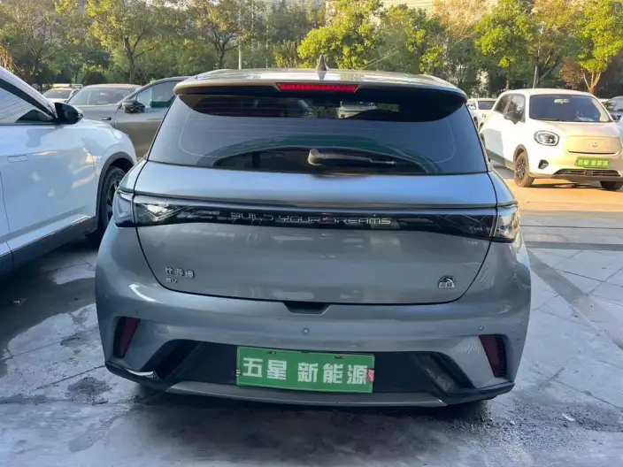 BYD Dolphin 2023 Model Free Edition – фото 4