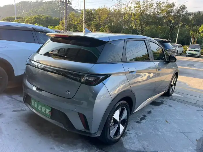 BYD Dolphin 2023 Model Free Edition – фото 5