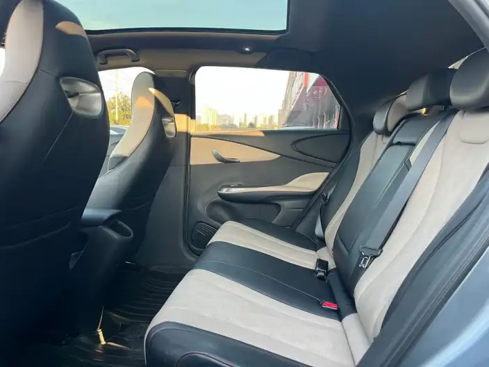 BYD Dolphin 2023 Model Free Edition – фото 8