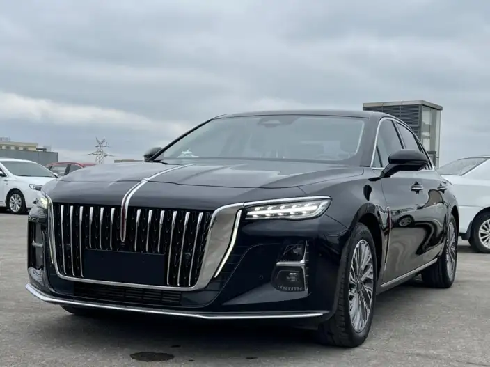 Hongqi H5 2023 Model 2.0T Automatic Flag Enjoy Edition – фото 1