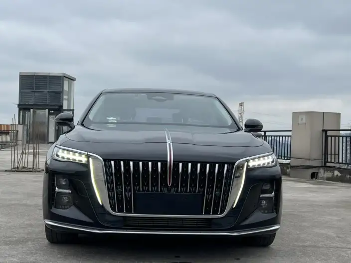 Hongqi H5 2023 Model 2.0T Automatic Flag Enjoy Edition – фото 2