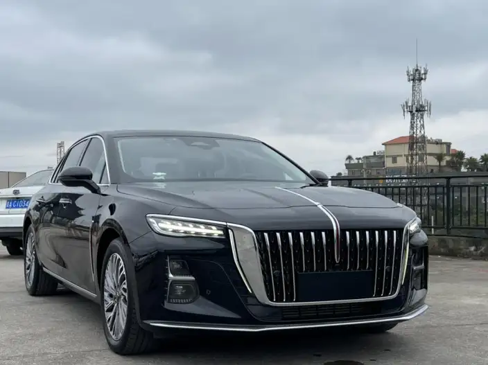 Hongqi H5 2023 Model 2.0T Automatic Flag Enjoy Edition – фото 3
