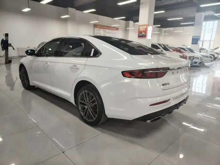 Geely StarRui 2021 Model 2.0T Noble Model – фото 4