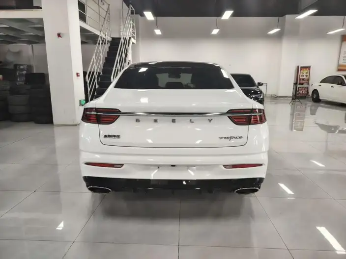 Geely StarRui 2021 Model 2.0T Noble Model – фото 5