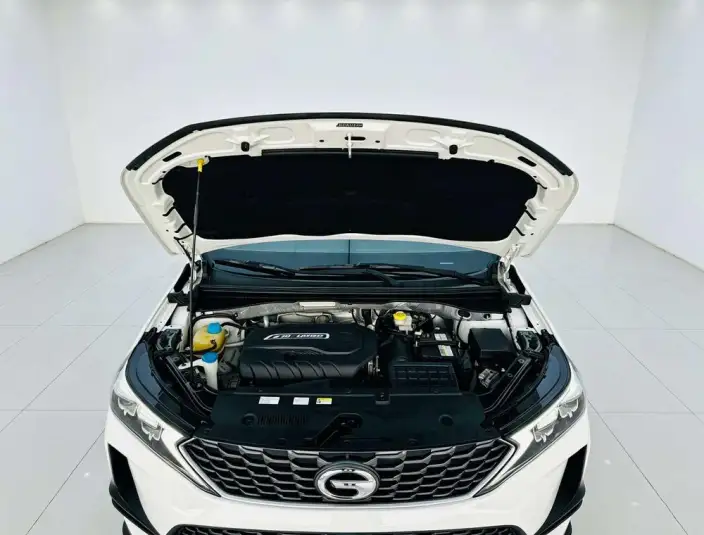 GAC Trumpchi GS4 Coupe 2020 Model 270T Automatic Smart Connect Technology Edition – фото 8