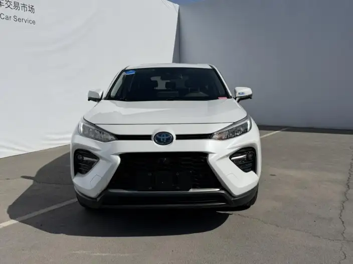 Toyota Wildlander 2020 Model Hybrid 2.5L 4WD Luxury Model – фото 2
