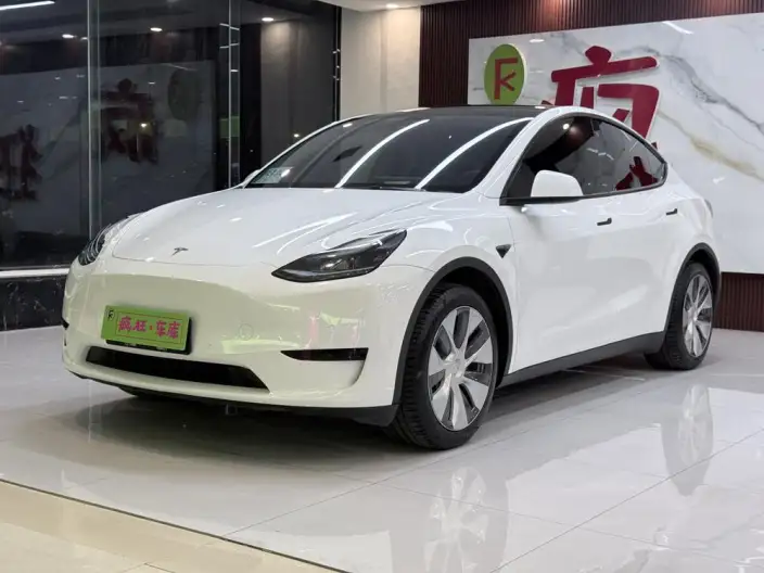 Model Y 2022 Model Rear-wheel drive version – фото 1