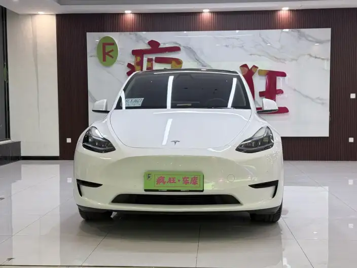 Model Y 2022 Model Rear-wheel drive version – фото 2