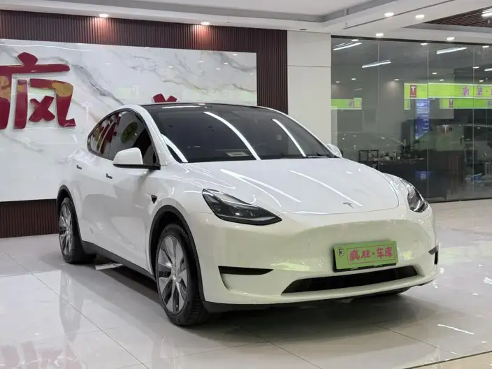 Model Y 2022 Model Rear-wheel drive version – фото 3