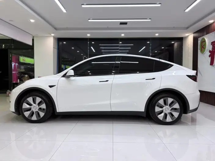 Model Y 2022 Model Rear-wheel drive version – фото 4