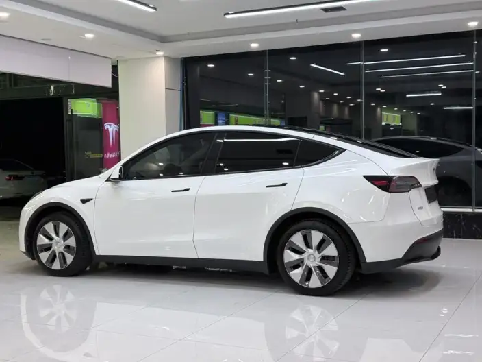 Model Y 2022 Model Rear-wheel drive version – фото 6