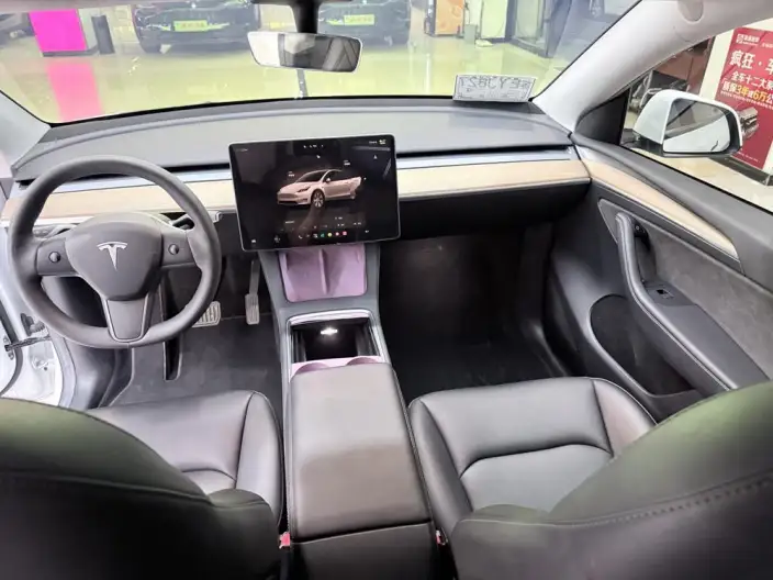 Model Y 2022 Model Rear-wheel drive version – фото 7