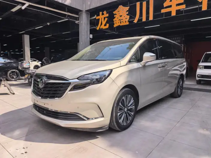 Buick GL8 2020 Model ES Luzun 653T Luxury Model – фото 1