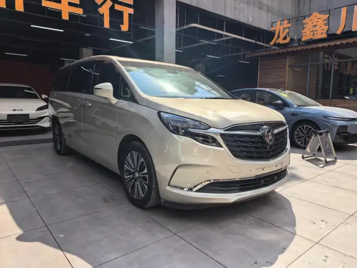 Buick GL8 2020 Model ES Luzun 653T Luxury Model – фото 3