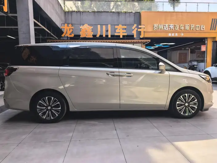 Buick GL8 2020 Model ES Luzun 653T Luxury Model – фото 7