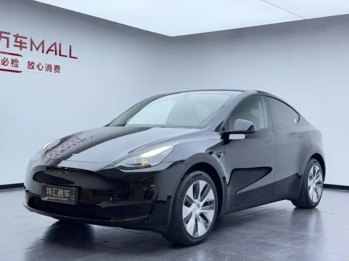 Model Y 2022 Model Rear-wheel drive version – фото 1