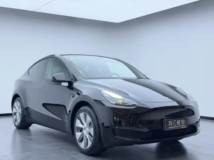 Model Y 2022 Model Rear-wheel drive version – фото 3