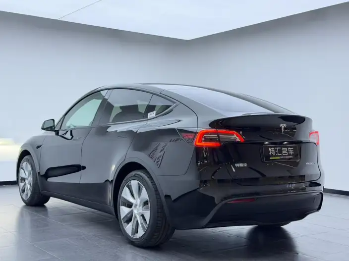 Model Y 2022 Model Rear-wheel drive version – фото 4