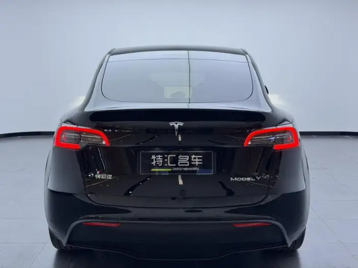 Model Y 2022 Model Rear-wheel drive version – фото 5