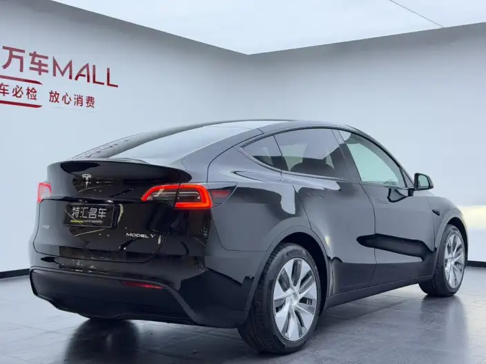Model Y 2022 Model Rear-wheel drive version – фото 6