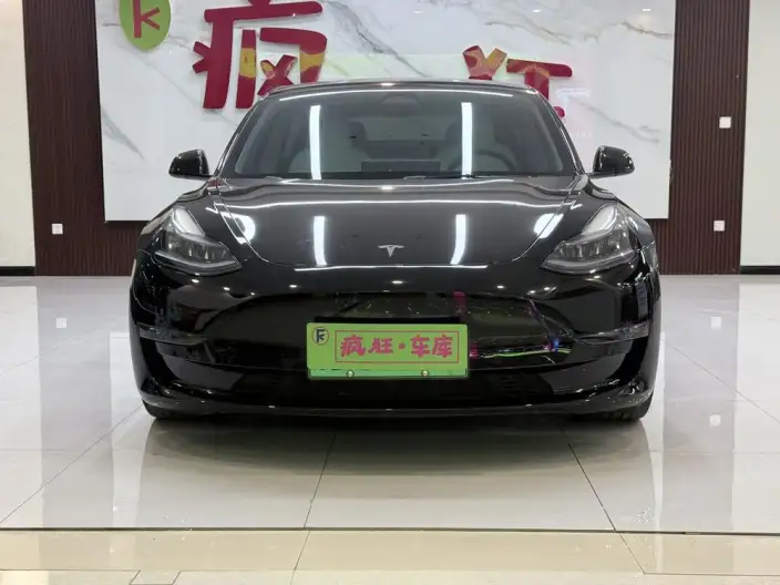 Model 3 2022 Model Performance High performance All-wheel drive version – фото 2