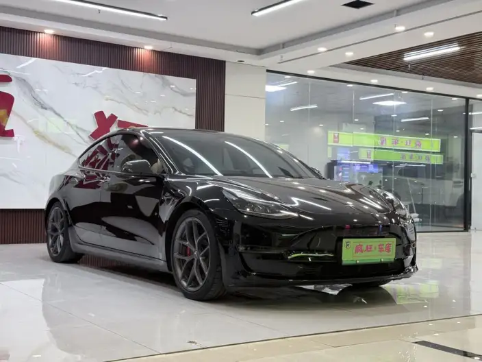 Model 3 2022 Model Performance High performance All-wheel drive version – фото 3