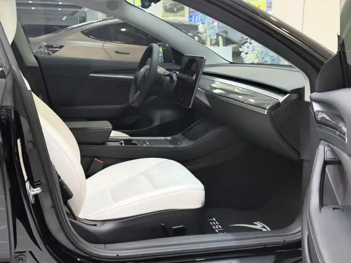 Model 3 2022 Model Performance High performance All-wheel drive version – фото 7