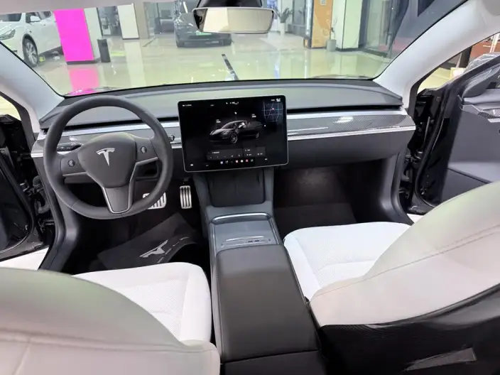 Model 3 2022 Model Performance High performance All-wheel drive version – фото 8