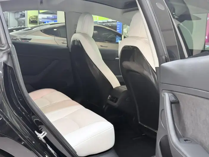 Model 3 2022 Model Performance High performance All-wheel drive version – фото 10