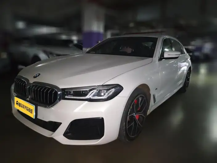 BMW 5 Series 2021 Model 530Li Exclusive Model M Sports Set – фото 1