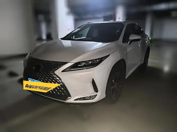 Lexus RX 2021 Model 300 4WD Special Edition – фото 1