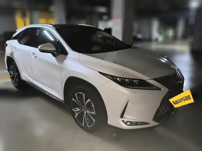 Lexus RX 2021 Model 300 4WD Special Edition – фото 3